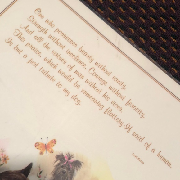 NWT Reversible Pet Bowl Dog food or water Plasticized Floor Placemat! - Picture 5 of 16